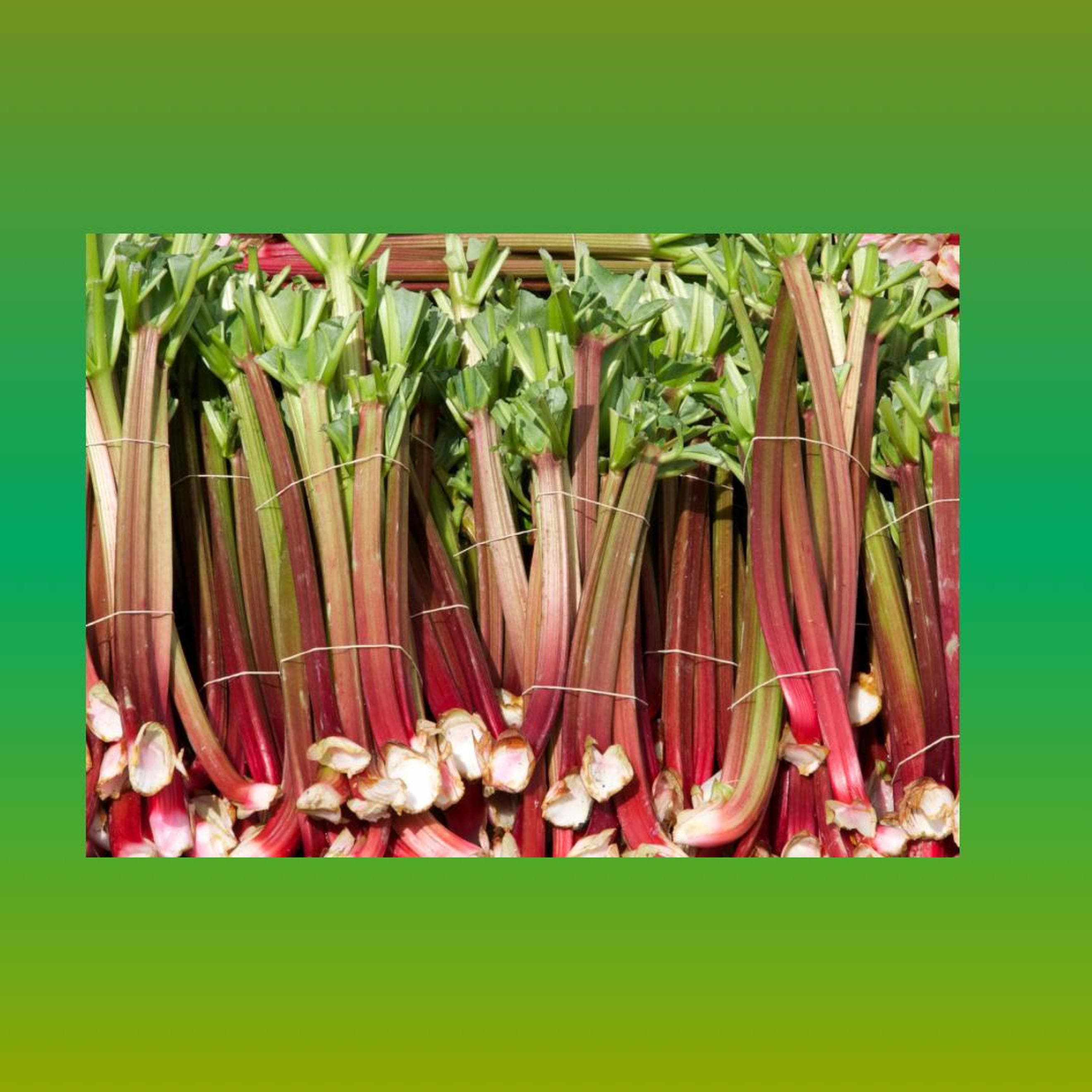 Rhubarb