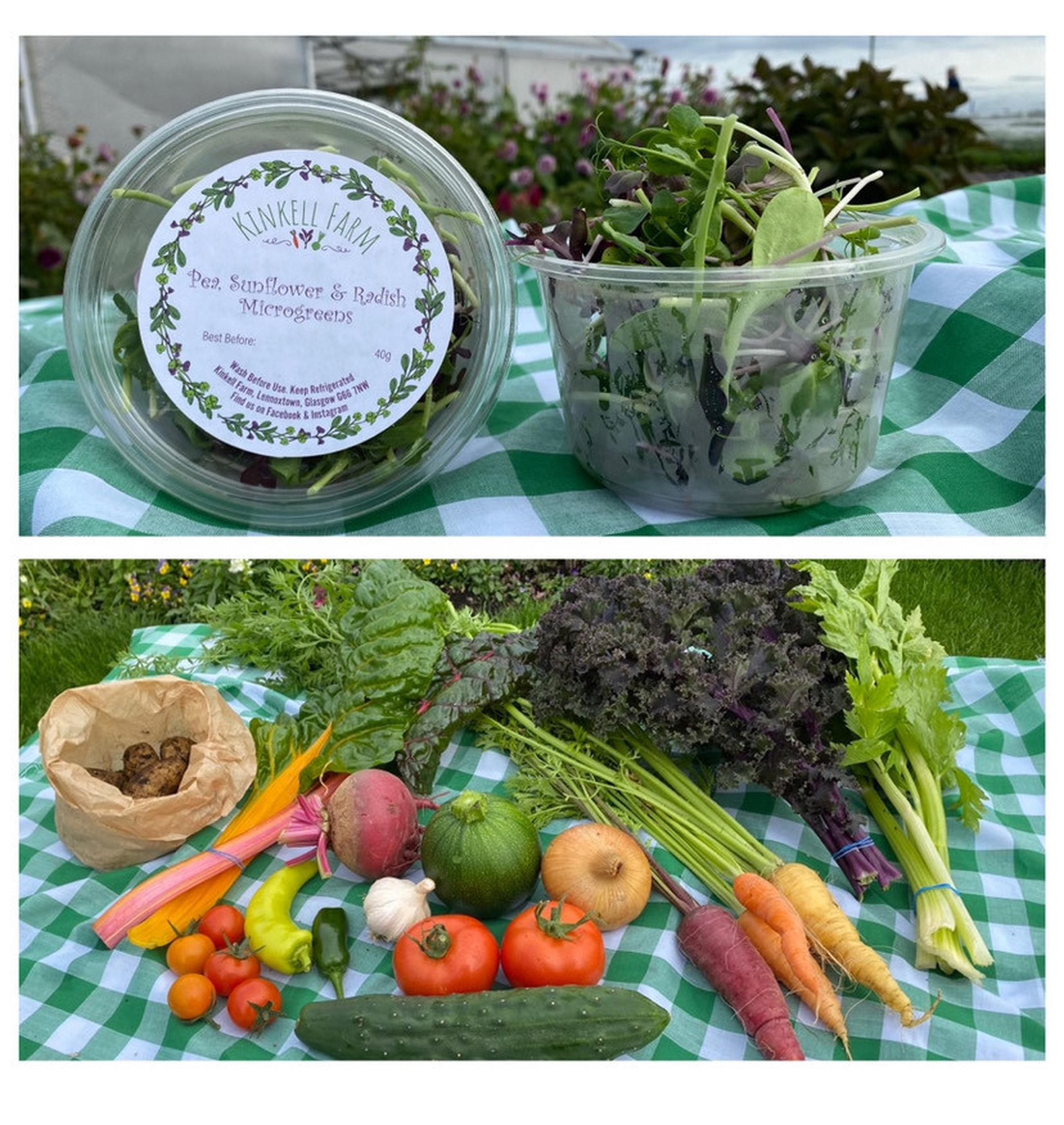 Create your own Microgreen & Veggie Box