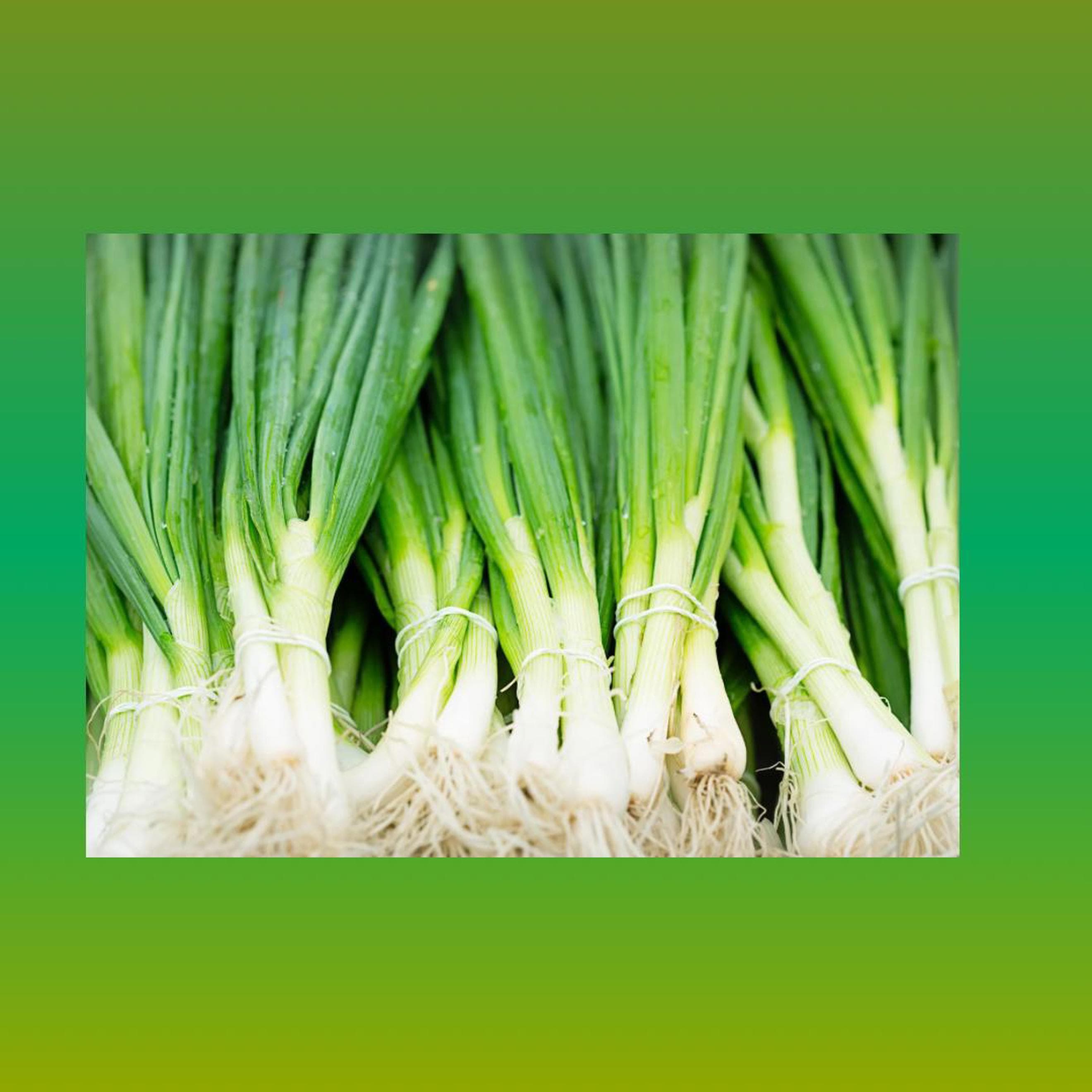 Spring Onion