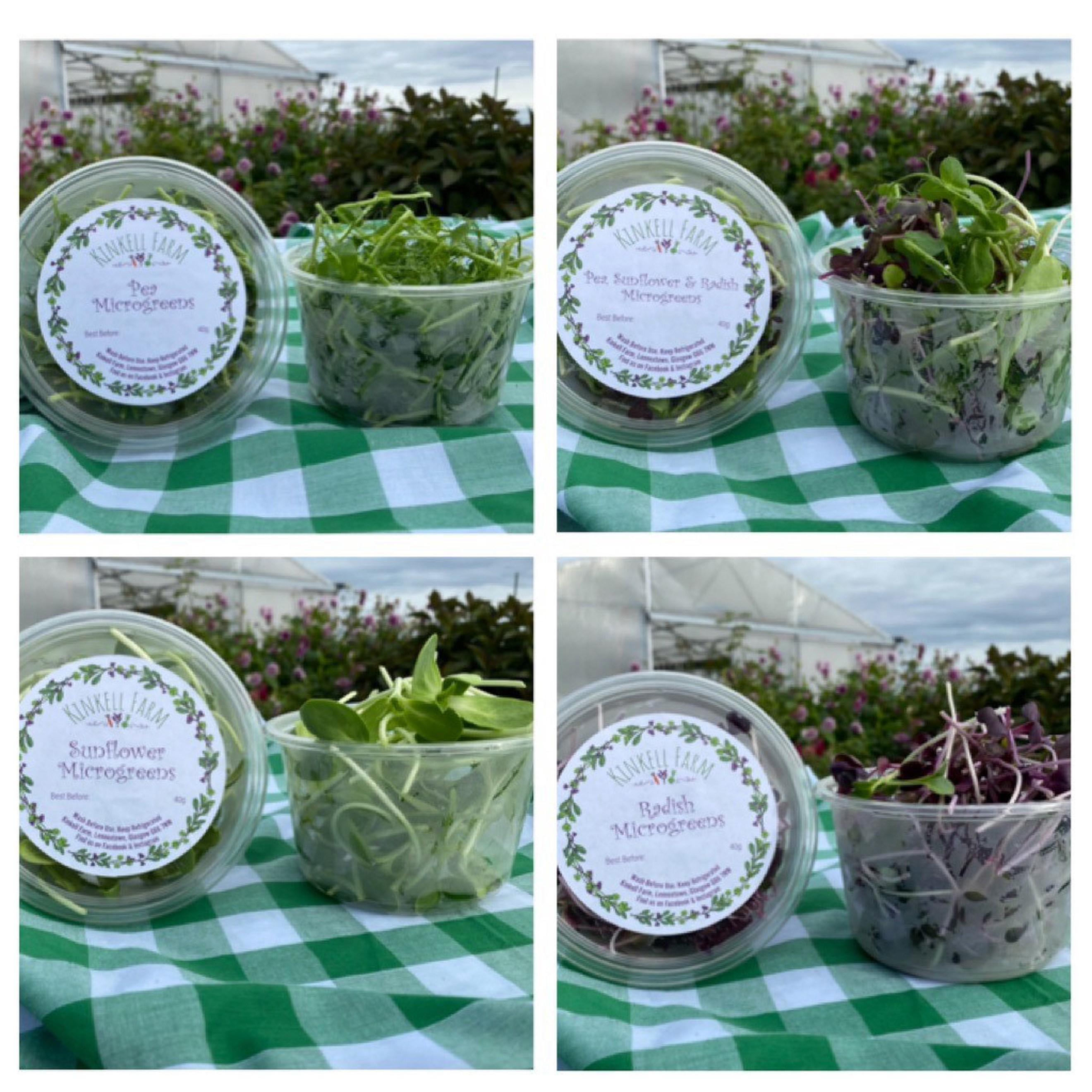 Standard Microgreen Bundle
