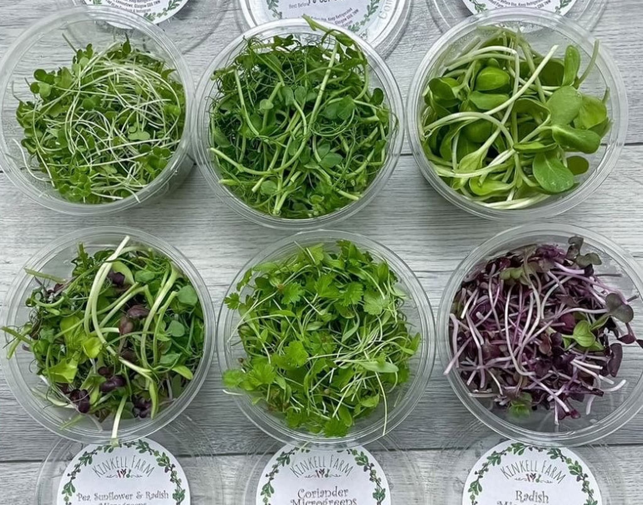 Deluxe Microgreen Bundle